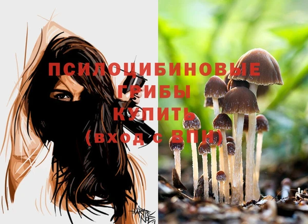 кокаин Белокуриха