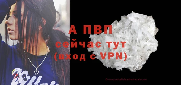 трава Беломорск