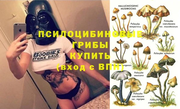 трава Беломорск