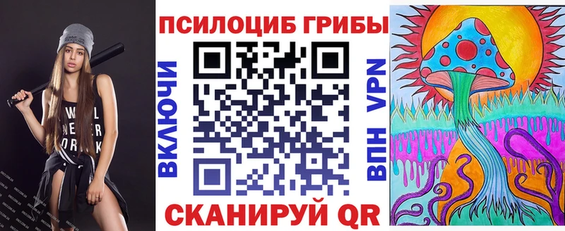 Псилоцибиновые грибы Psilocybine cubensis  Кубинка 